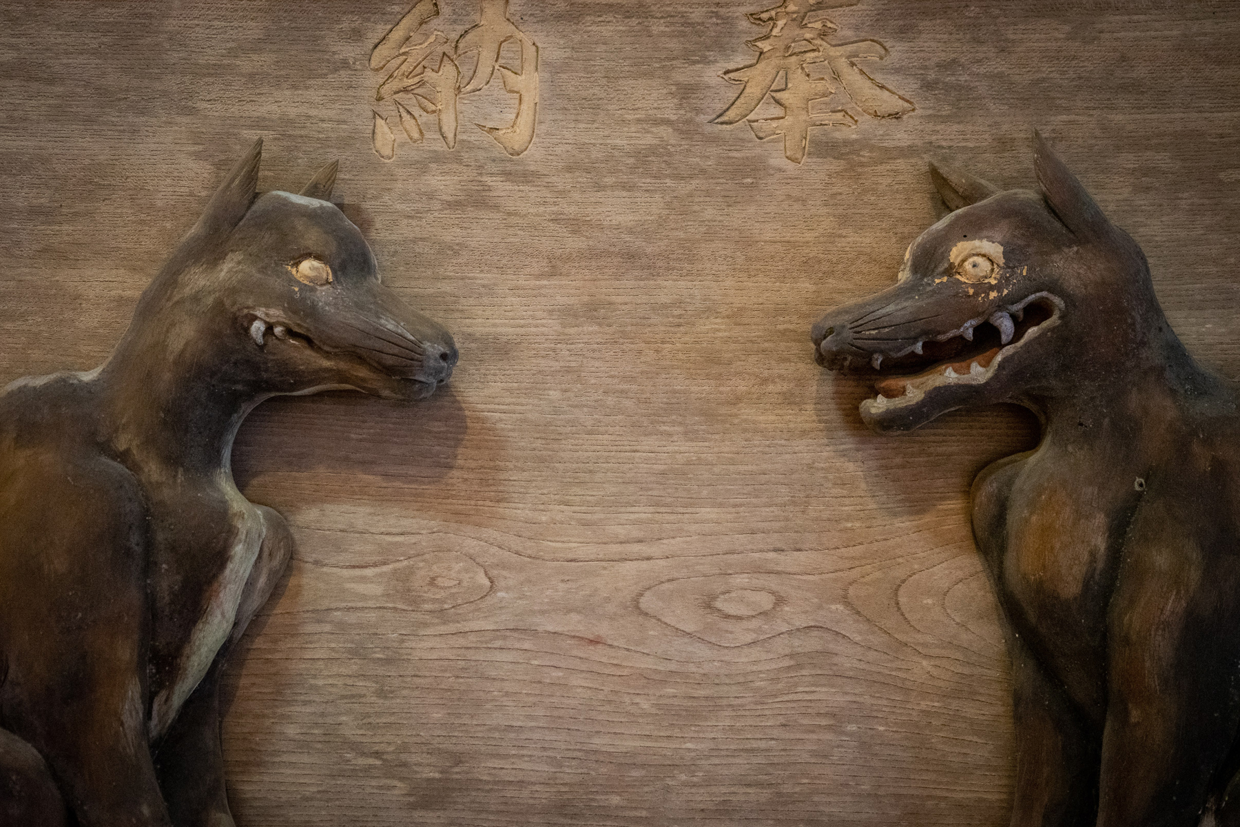 A pair of wolves carved from wood exhibited at Mitsumine Shrine's museum in Chichibu, Saitama Prefecture | OSCAR BOYD