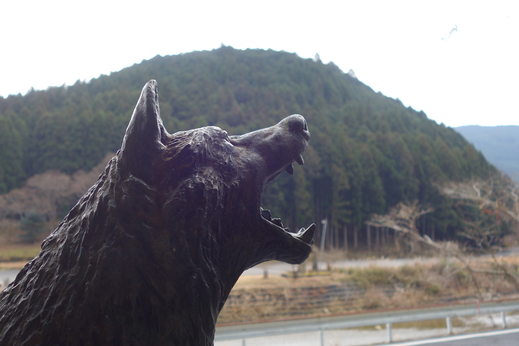 A bronze statue of the Japanese wolf in Higashiyoshino Village, Nara Prefecture | ALEX K.T. MARTIN