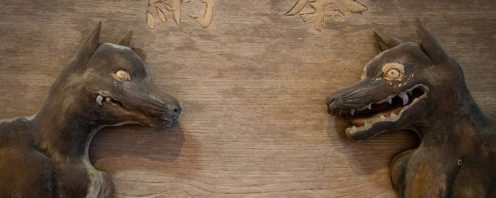 In search of Japan's lost wolves, by Alex K.T. Martin - The Japan